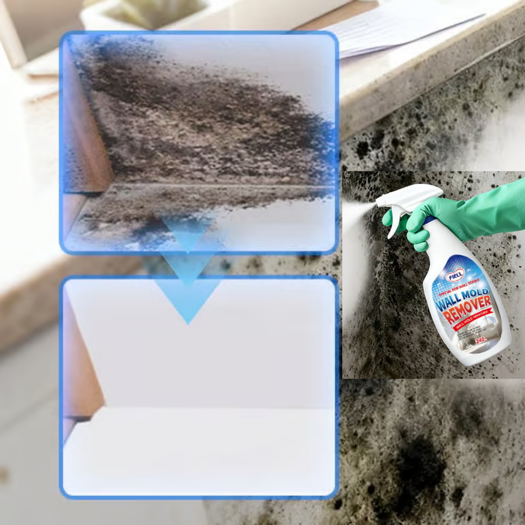 PureWall Removedor de moho | Paredes más limpias, frescas y protegidas en minutos.