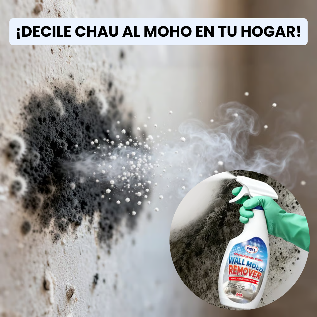 PureWall Removedor de moho | Paredes más limpias, frescas y protegidas en minutos.